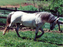 Naci General Web Thumbnail
