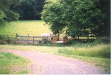 Paddocks