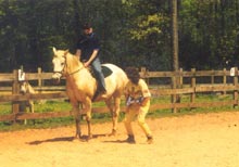 Lessons - Andy