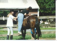 Retraining a horse with a problem