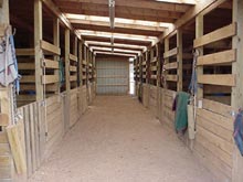 Stalls