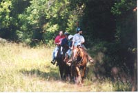 Riding trail