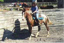 Training horses at the Sanders Ranch