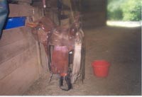 Western saddle